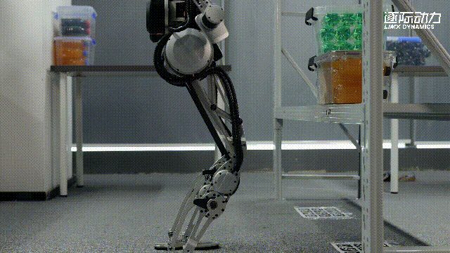 640 (4).gif